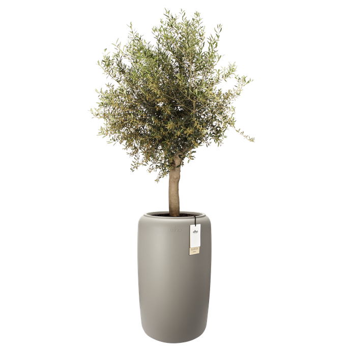 amber beads large 40cm balanced beige